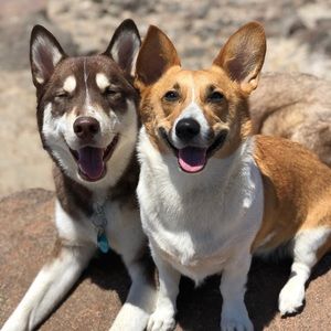 Meet your Posher, Monique